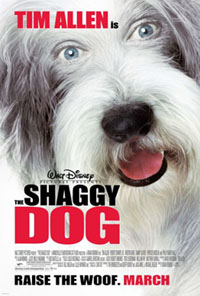 theshaggydog