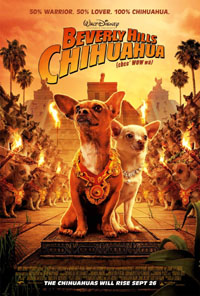 beverlyhillschihuahua