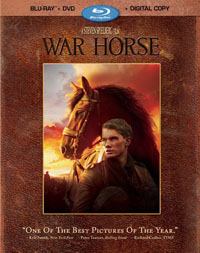 warhorsebd