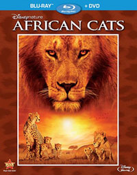 africancatsbd