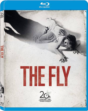 theflybd