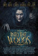 intothewoods_sm